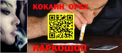 мет Можга